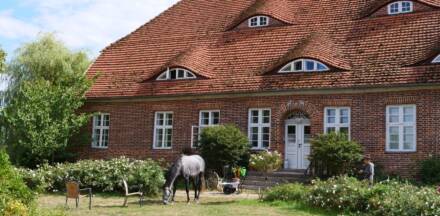 Backsteinbau mit Pferd im Garten