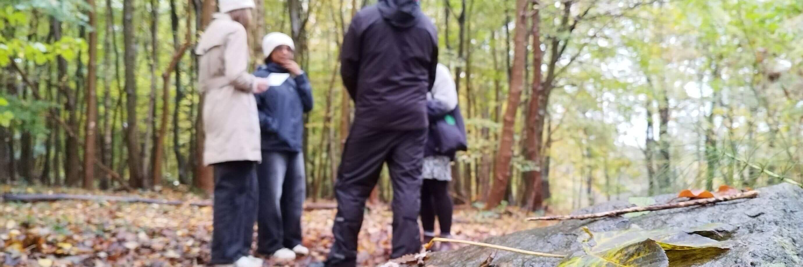 Menschen unterhalten sich im Wald, Nahaufnahme von Blättern