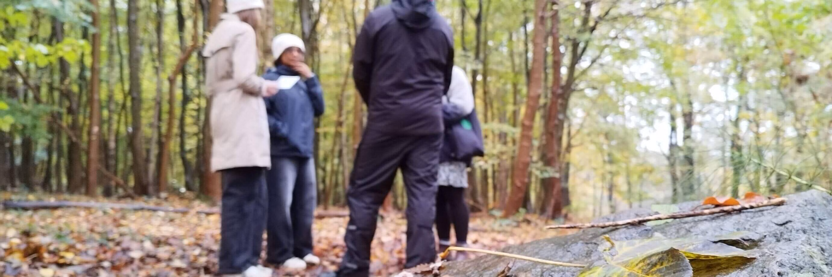 Menschen unterhalten sich im Wald, Nahaufnahme von Blättern