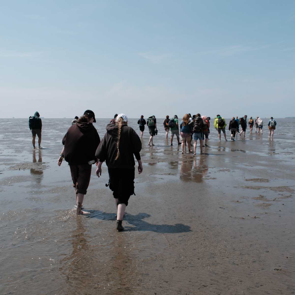 Gruppe wandert bei Ebbe durch Wattmeer.