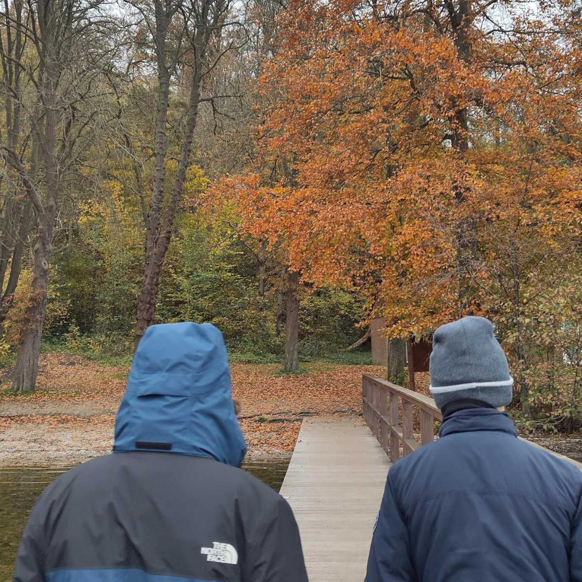 Personen spazieren durch herbstlichen Wald